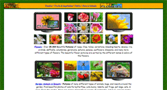 Desktop Screenshot of flowersvg.com