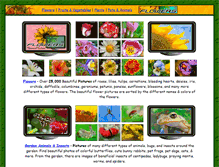 Tablet Screenshot of flowersvg.com